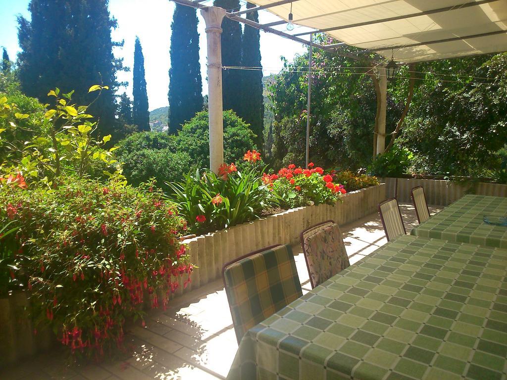 Antun Mozara Family House Bed & Breakfast Slano Ngoại thất bức ảnh
