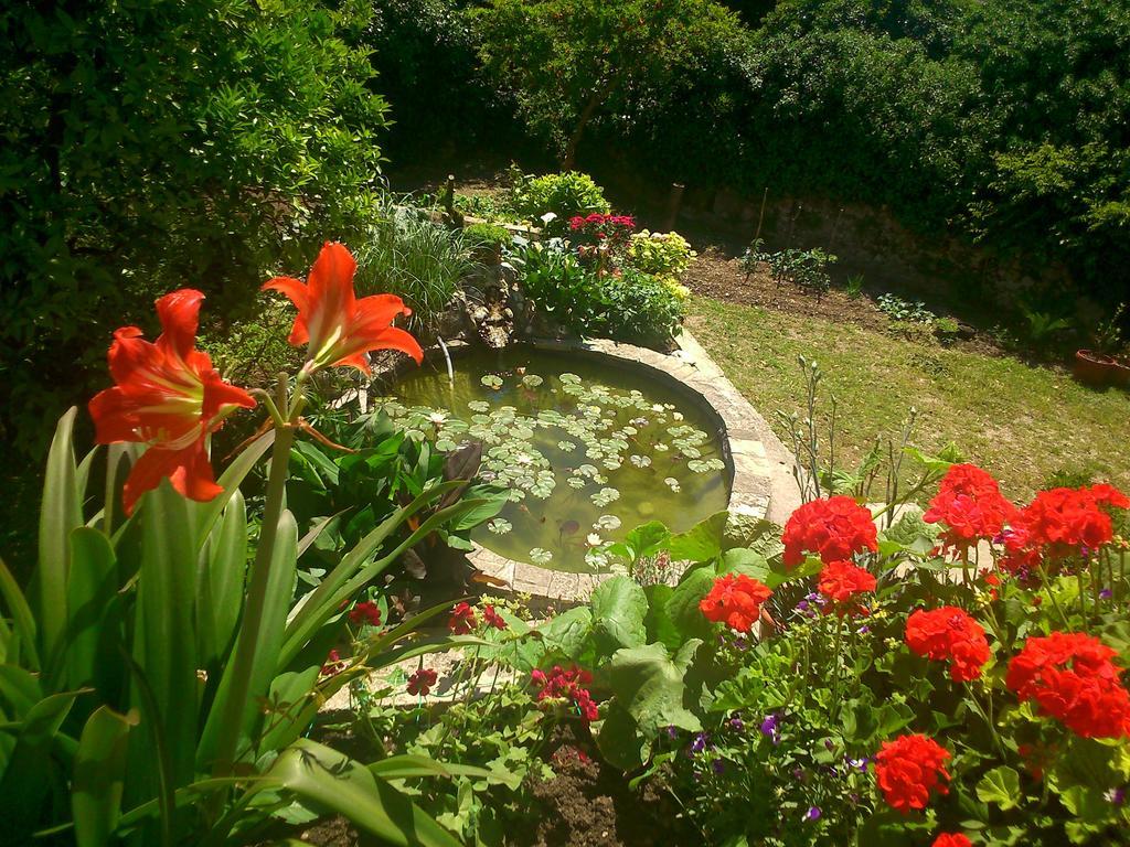Antun Mozara Family House Bed & Breakfast Slano Ngoại thất bức ảnh