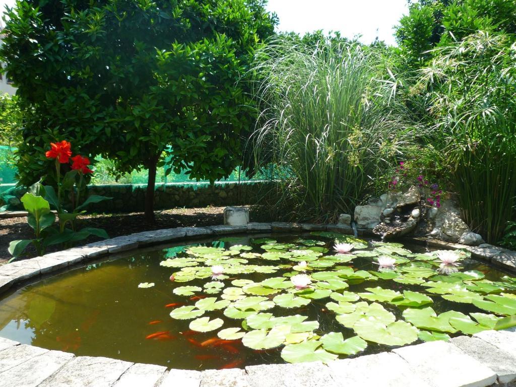 Antun Mozara Family House Bed & Breakfast Slano Ngoại thất bức ảnh