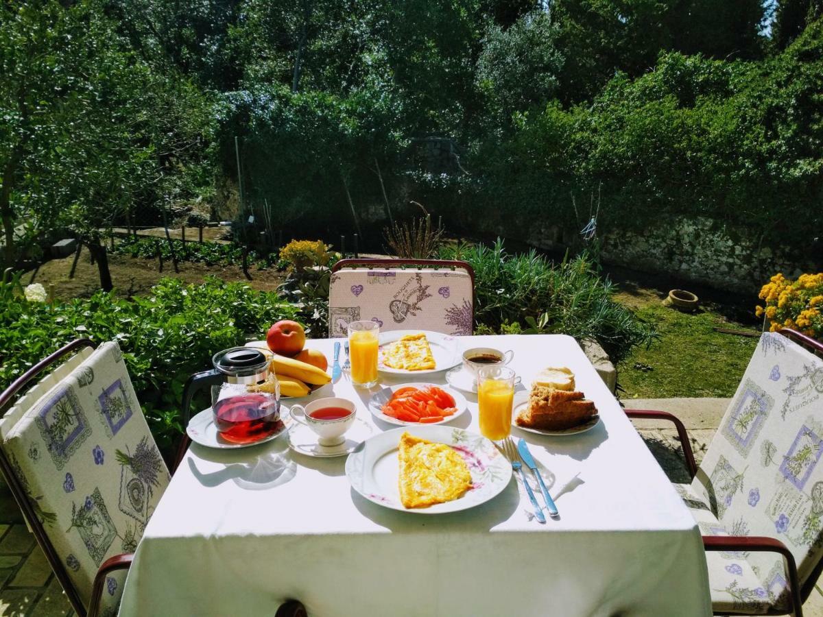 Antun Mozara Family House Bed & Breakfast Slano Ngoại thất bức ảnh