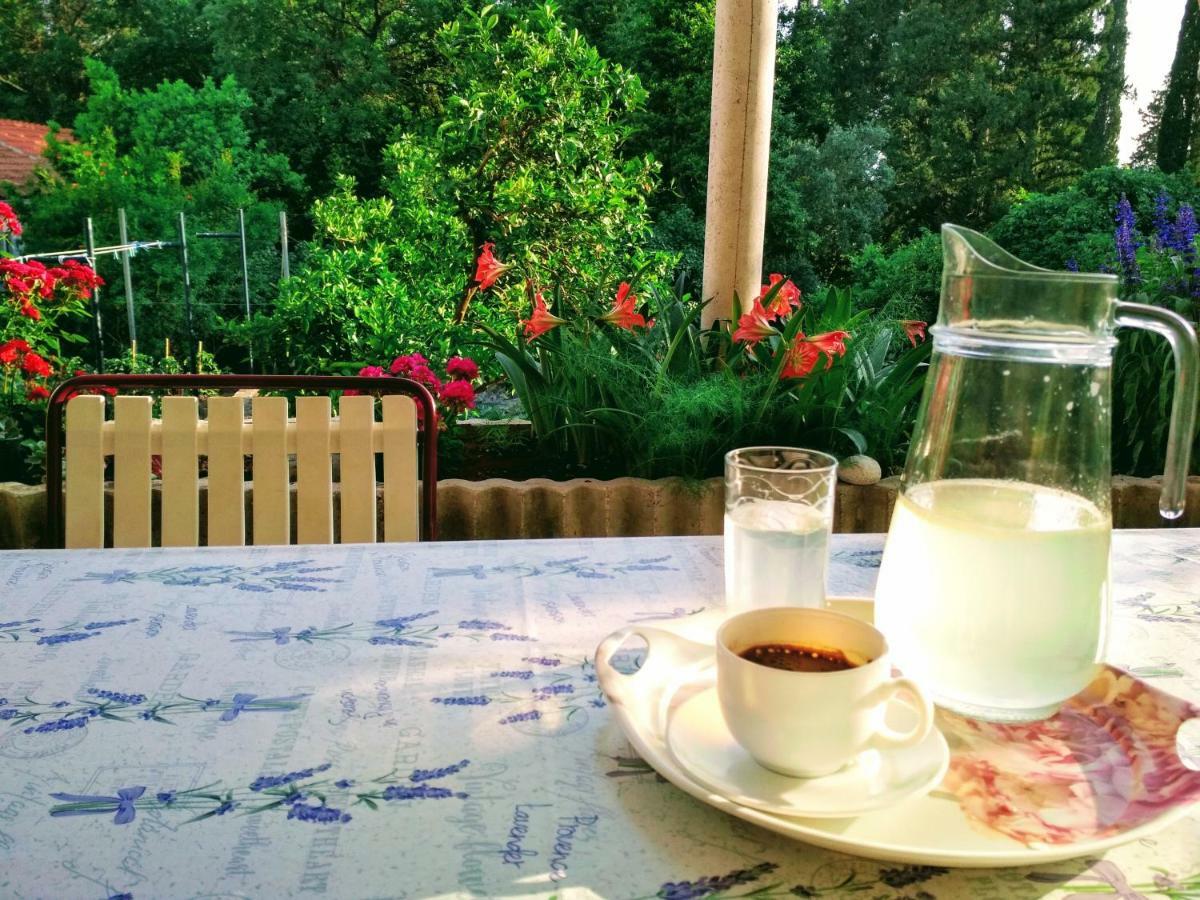 Antun Mozara Family House Bed & Breakfast Slano Ngoại thất bức ảnh