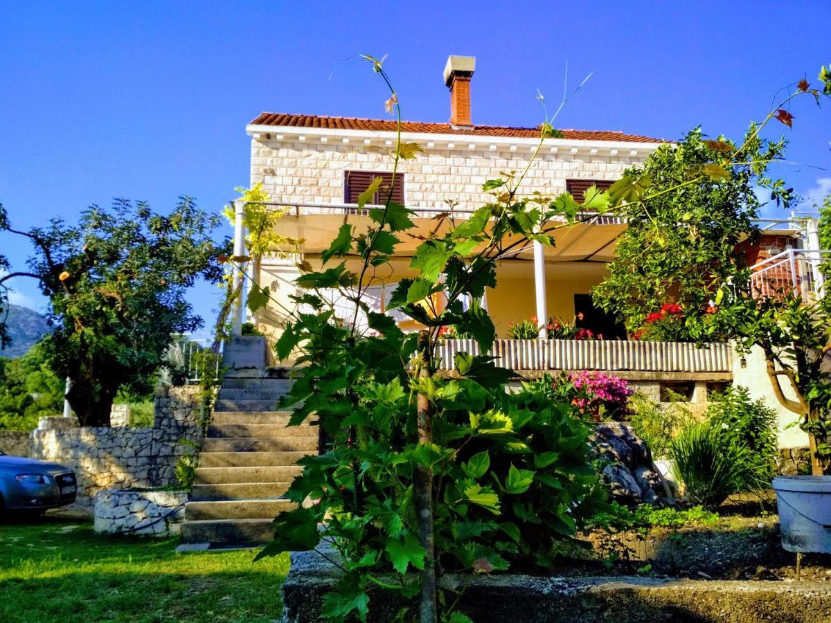 Antun Mozara Family House Bed & Breakfast Slano Ngoại thất bức ảnh